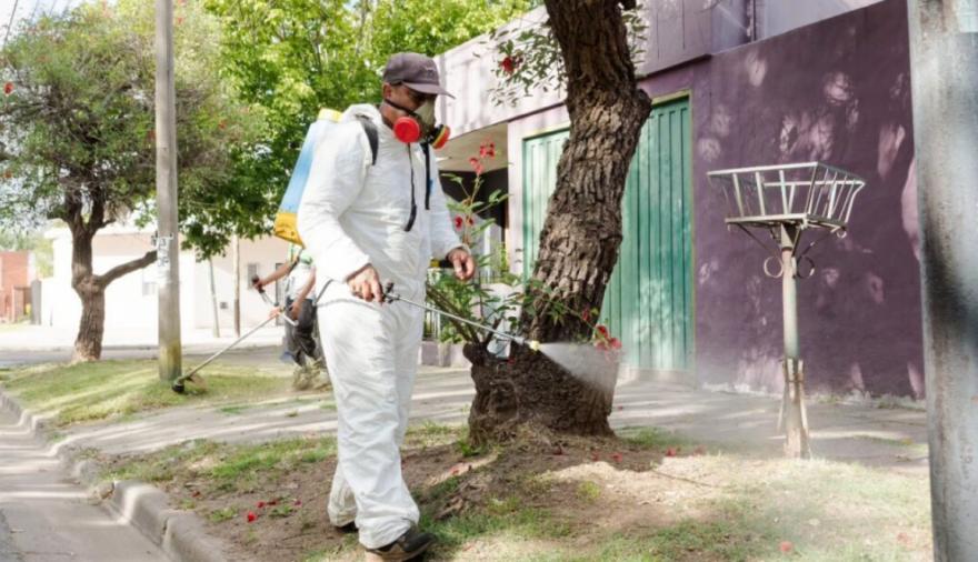 Los casos de dengue superan los 78 mil en la provincia y hay 56 municipios en brote
