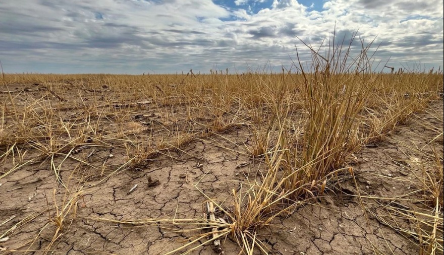 Declaran la emergencia agropecuaria en distritos del sur de la provincia