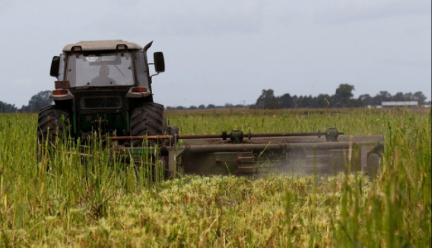 Provincia lanzó nuevas medidas para el sector agropecuario