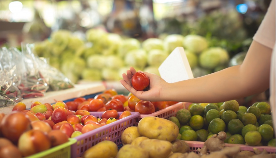 Presentan línea de financiamiento para mercados mayoristas frutihortícolas