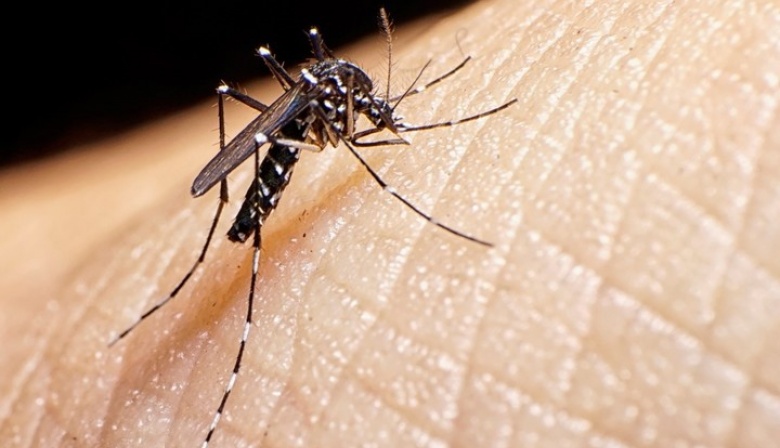 Dengue: nuevas jornadas de descacharrado intensivo en municipios