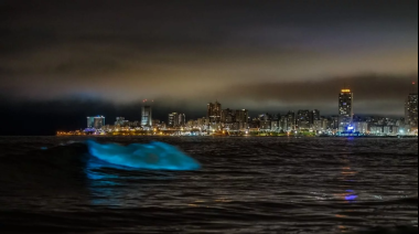 Olas fluorescentes en Mar del Plata: la razón de este fenómeno