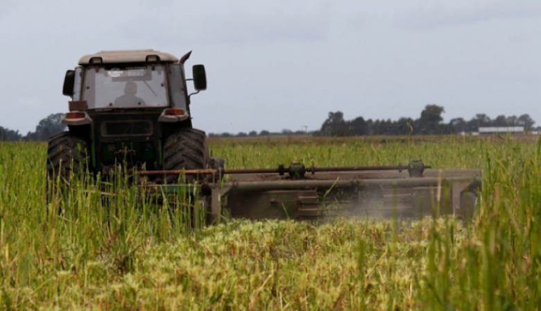 Provincia lanzó nuevas medidas para el sector agropecuario