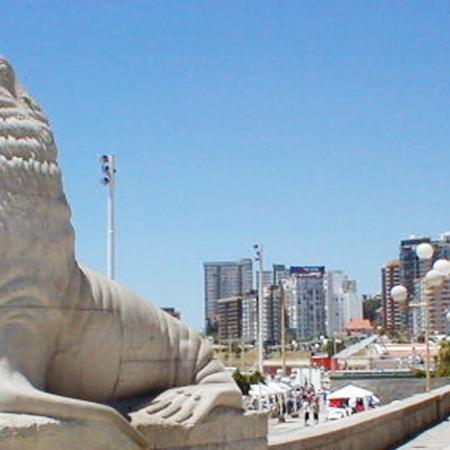 Mar del Plata anunció un concurso para crear la bandera local