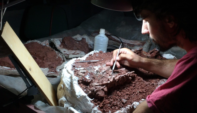 La UNLP participó del hallazgo de uno de los dinosaurios más antiguos del mundo en La Rioja