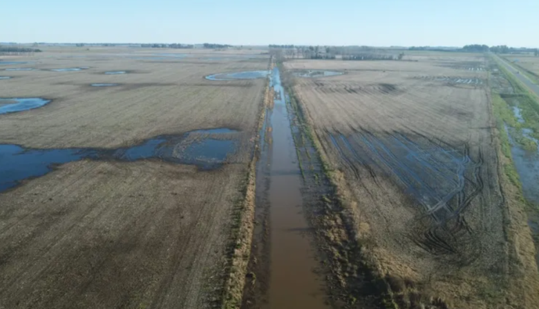 La Nación declara la emergencia agropecuaria en 12 partidos bonaerenses afectados por inundaciones