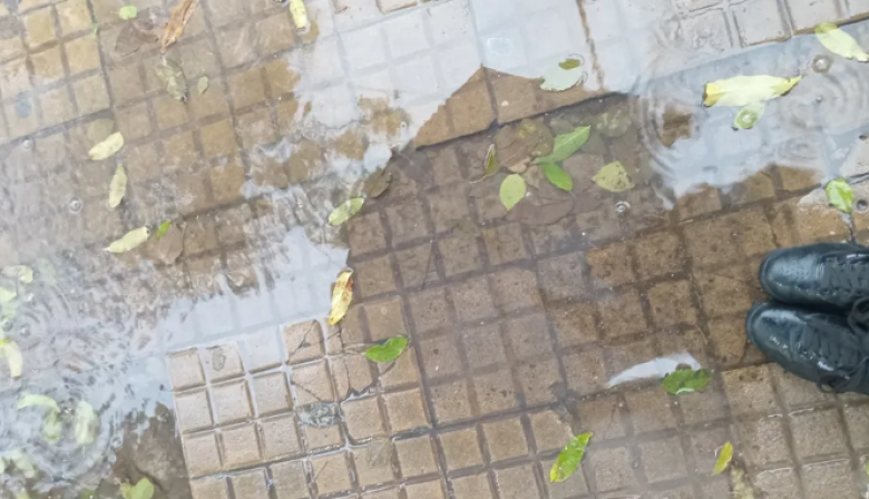 Del calor a la lluvia: gran parte de la provincia de Buenos Aires, en alerta amarilla por tormentas