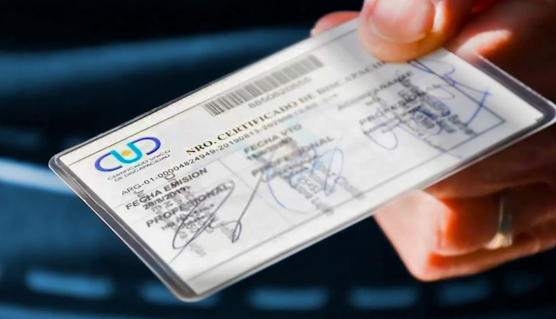 Presentan un proyecto para que el CUD no caduque en discapacidades irreversibles