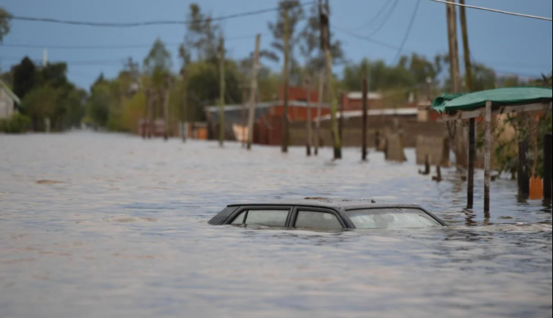 La Provincia declaró la emergencia agropecuaria en doce distritos afectados por el temporal