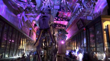 Convocan a instituciones bonaerenses a participar de "Una Noche en los Museos"