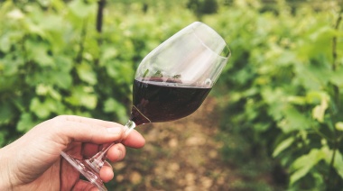 ¿De qué se trata la nueva ley del vino bonaerense?