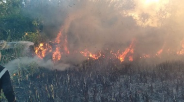 Se prende fuego una reserva en Punta Lara y el humo llega a la capital bonaerense