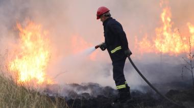 Los incendios forestales en ciudades bonaerenses no dan tregua