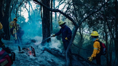 Se incendiaron 16 hectáreas de la Reserva Forestal Laguna de los Padres