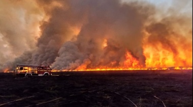 Arde el norte de la provincia de Buenos Aires