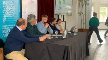 Lanzan el Plan Integral de Reconstrucción de Arbolado en Olavarría