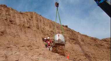 Investigadores del Conicet descubrieron un gliptodonte en Olavarría