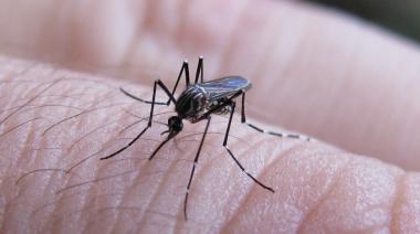 Ya son 29 los municipios bonaerenses con brote de dengue