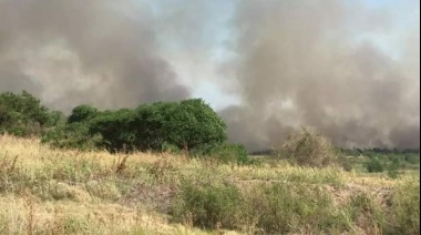 Controlaron un incendio de pastizales cerca de la planta Atucha