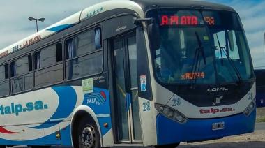 Paro de colectivos por falta de pago a choferes: qué zonas del AMBA y qué líneas afectará