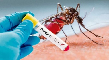 Los casos de dengue en Provincia superan los 3.000