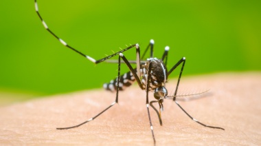 Dengue: Salud pide extremar los cuidados frente al aumento de casos