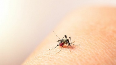 Vuelven a duplicarse los casos de dengue en la Provincia 