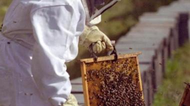 Provincia destacó el crecimiento de la producción de miel bonaerense
