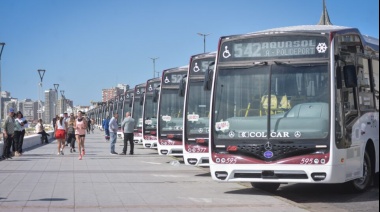 En plena temporada, Mar del Plata se queda sin colectivos