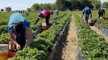 Abre la convocatoria bonaerense para Proyectos de Agregado de Valor Cooperativo: ¿hasta cuándo hay tiempo de inscribirse?