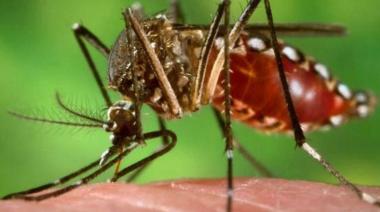 Dengue: los casos subieron un 80% y el brote se extiende en el interior bonaerense
