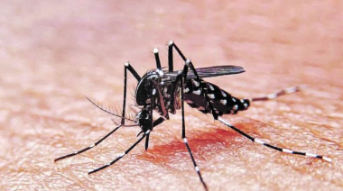 Dengue: el brote es igual al de 2020 y esperan más casos