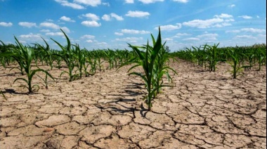 Decretan la Emergencia Agropecuaria en cinco municipios bonaerenses