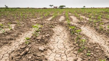 El gobierno bonaerense prorroga la emergencia agropecuaria por sequía