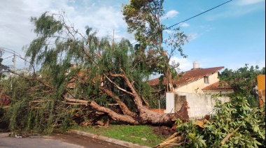 Provincia exime del Inmobiliario Edificado a las viviendas de Bahía Blanca afectadas por el temporal