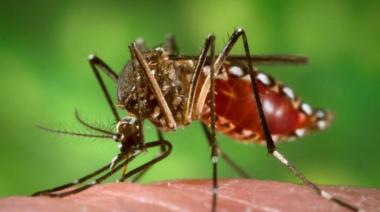 ¿Cuáles son los municipios con brotes de dengue y chikungunya?