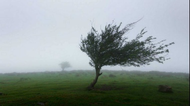Alerta amarillo por vientos en localidades bonaerenses