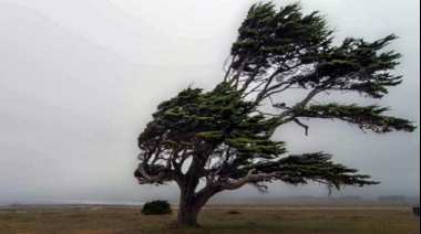 Rige alerta por fuertes vientos en el sur de la provincia