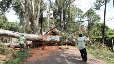 Pilar: El Municipio continúa trabajando sobre los daños causados por la gran tormenta