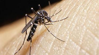 Buenos Aires registra 1168 casos de dengue y 314 de chikungunya en lo que va del año