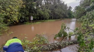 Crecida del Paraná: Provincia monitorea la zona de islas del Delta