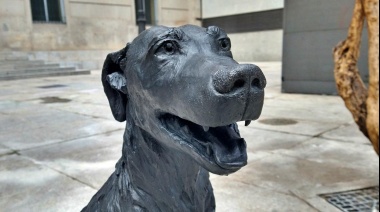 Municipio del Conurbano tendrá un monumento al perro