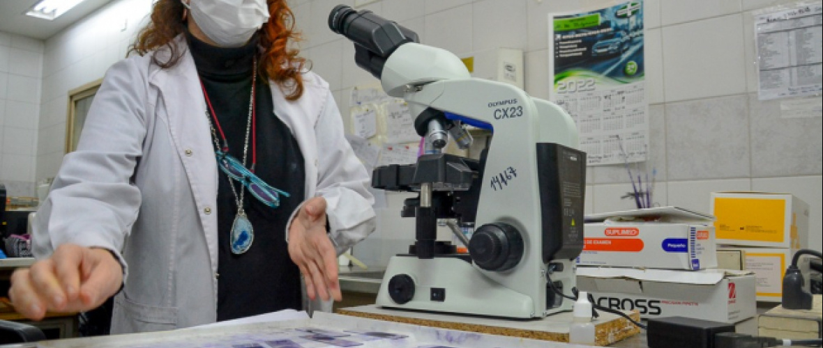Profesionales de hospitales bonaerenses podrán ser investigadores asociados de la CIC