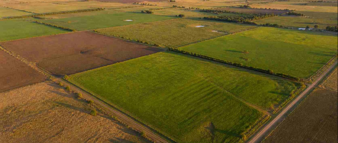 Después del fallo de la Corte, el oficialismo bonaerense busca su propia ley de tierras