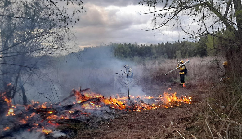 Incendios en el Delta del Paraná: continúan activos focos en territorio bonaerense