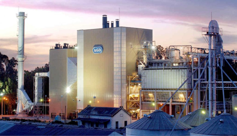 Reconocida aceitera instalará una mega planta de maní en Alem