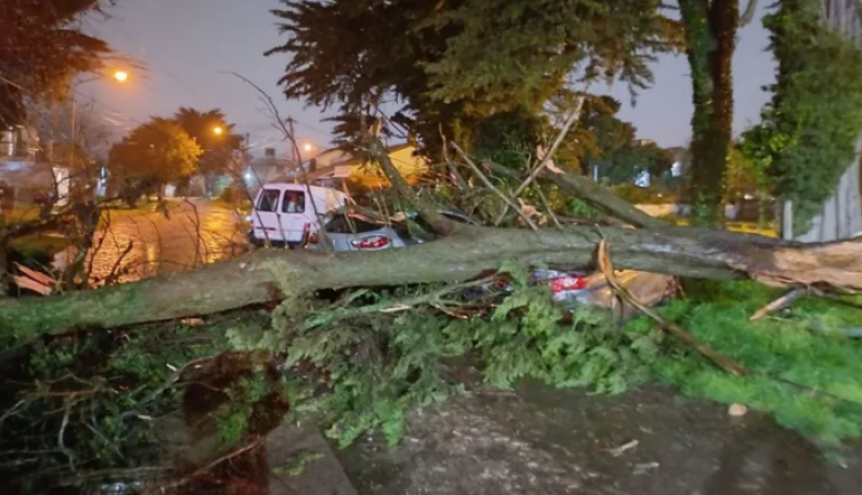 Temporal en Mar del Plata y Tandil deja “daños de consideración” y cortes generalizados de luz