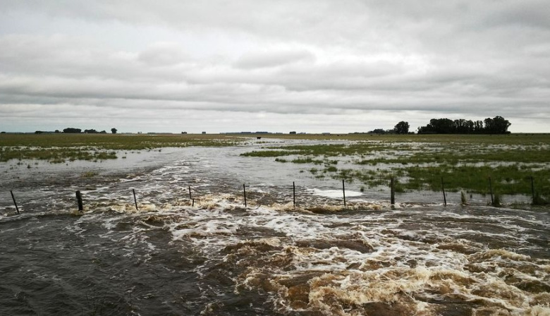 El Gobierno declaró la emergencia agropecuaria en diez municipios bonaerenses
