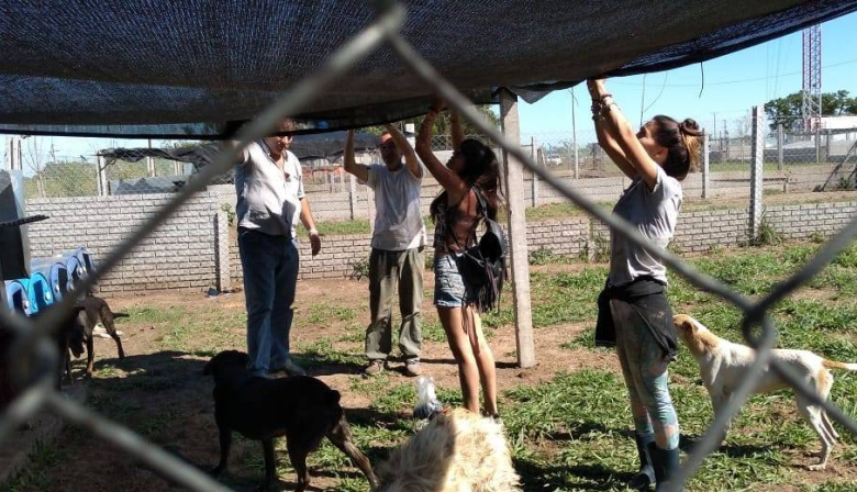 Chacabuco lanza un plan para dar hogar a 70 perros con beneficios impositivos