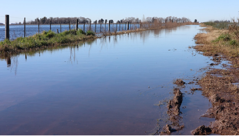 Crisis hídrica en la provincia: casi 6 millones de hectáreas afectadas por las inundaciones